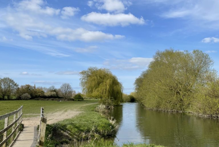 Serene view of the River Cam, with soft reflections on the water and a peaceful atmosphere. A moment of solitude and mindful walking along the riverbanks, embracing slow living.